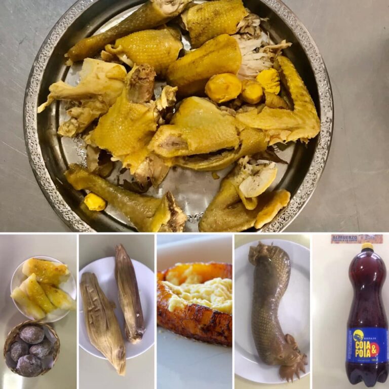 La Casa de la gallina zipaquira 1 768x768